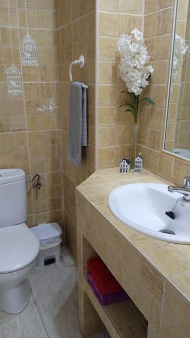 コルドバBonito Apartamento Jv36アパートメント エクステリア 写真